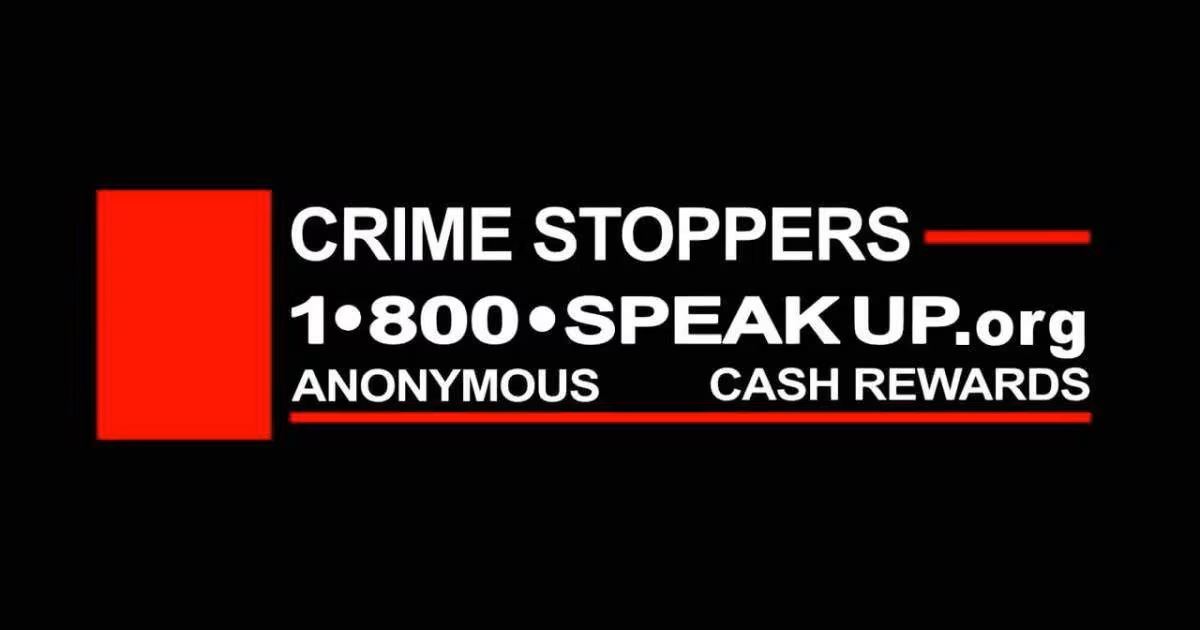 ZQBBBCHYBJA3NM54ABNTEWWHNA